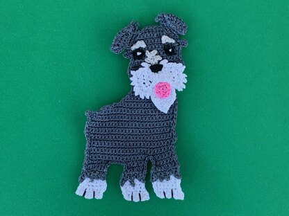 Schnauzer Dog