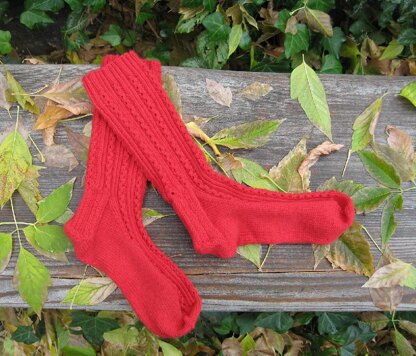 Lady In Red, Socks