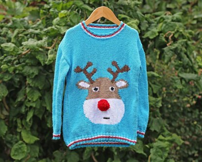 Rudolph Christmas Jumper (no 110) to fit child 2 to 13 years old