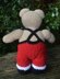 Santa and Mrs Claus Teddy Clothes