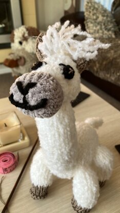 Larry the Alpaca