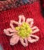Baby Daisy Shoe