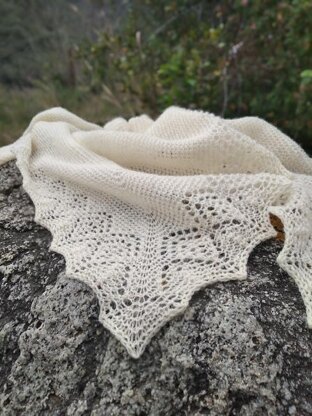 Moonlet Shawl