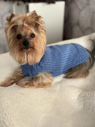 Basic Dog Sweater