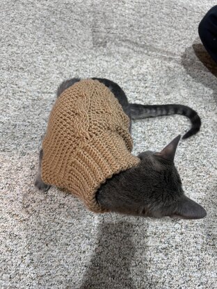 Easy cable pet sweater