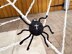 Giant spider web Large cobweb Crochet spiders Outdoor halloween decoration