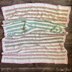 Mini Tulips in a Row Baby Blanket