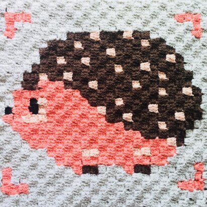 Hedge Hog C2C Crochet Graphgan Square