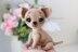 Chi-Chi the Puppy pattern (25 pages + 70 photos, PDF) (dog)