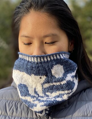 Polar Bear Plunge Cowl