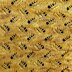 The Beekeeper Shawl