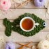 Crochet Fish Coaster Pdf + Video Tutorial
