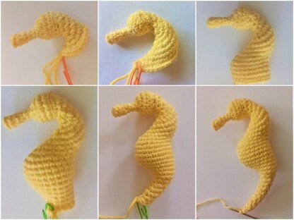 Seahorse