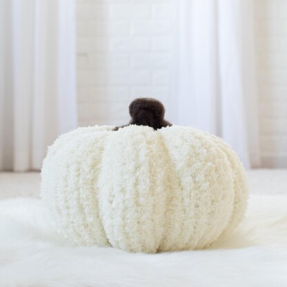 Project : Chenille Pumpkin