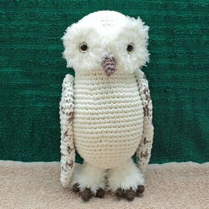 Gwenn the Snowy Owl