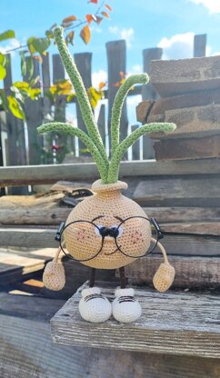Onion