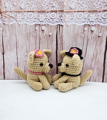 Chihuahua Couple