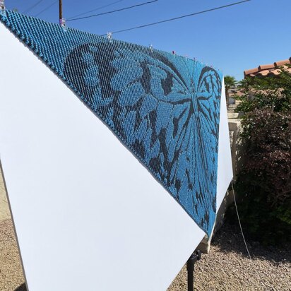 Le Papillon Bleu Illusion Shawl