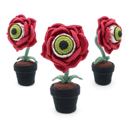 Eyeball Rose Flower in Pot