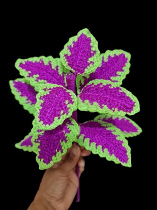Crochet Coleus plant pattern
