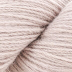 Sand Dollar (148)