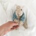 Sweet Rabbit