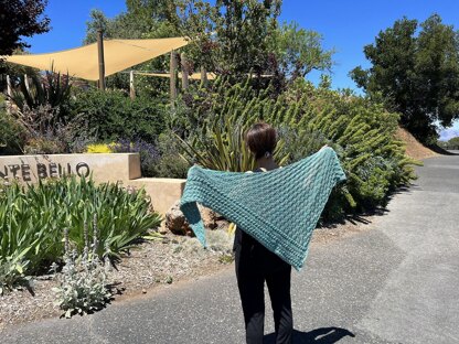 Vineyard hill shawl