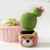 Cute cactus in a pot bear