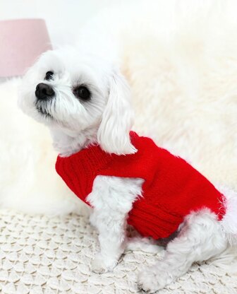 Santa dog coat