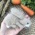 Knitted Mini Rabbit Toy