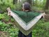 Forest Walk Shawl