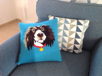 Springer Cushion