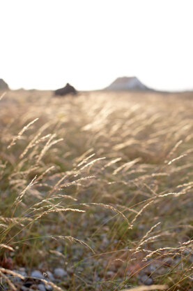 Rowan Summer Textures