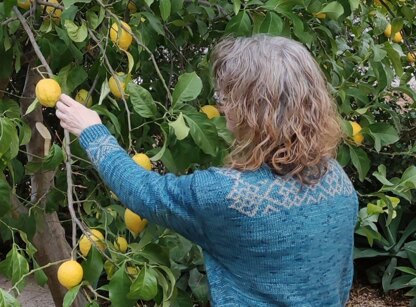 Julia Cardigan