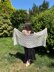 Sylvie Shawl