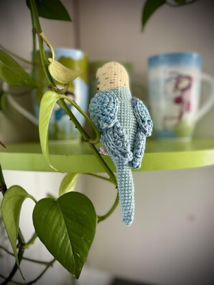 Pearl the Budgie