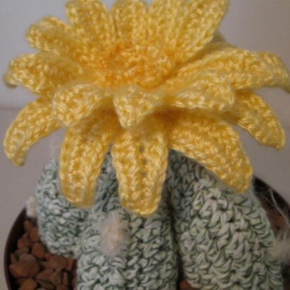 Bishop Cactus crochet