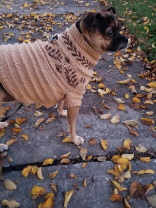 Dog Dream Sweater