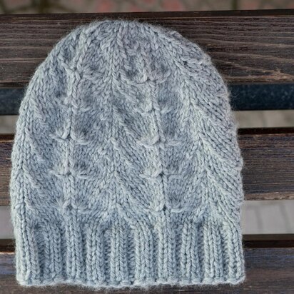 Skin And Bones Hat - knitting pattern