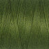 Dark Avocado Green (585)