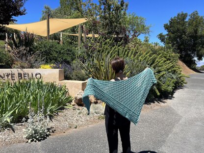 Vineyard hill shawl