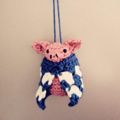 Mr Pig in blanket