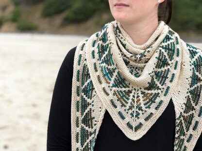 Neahkahnie Mountain Shawl