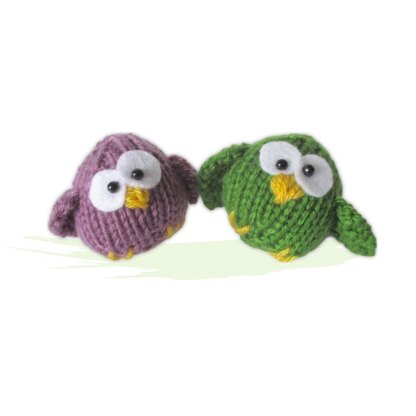 Little Owl