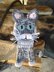 Gray cat applique