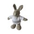 Pip the Bunny