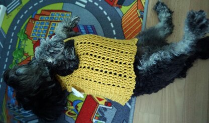 Häkelanleitung für das Hundekleid mit Schleife
