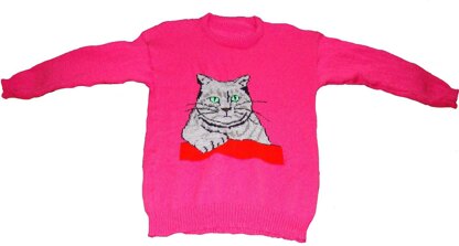 Grey Kitty Cat Jumper