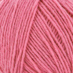 Cherry Blossom (183)
