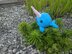 Baby Narwhal - Unicorn of the Sea